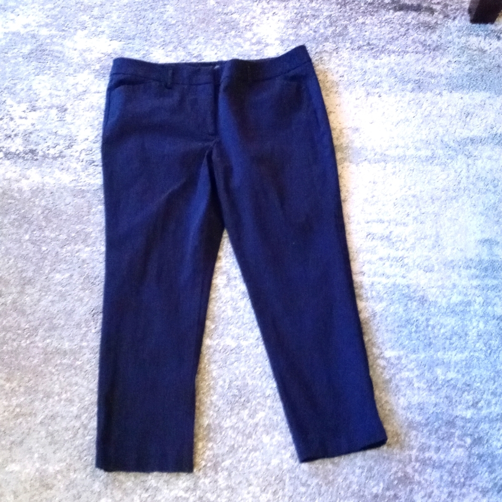 Dark blue crop pants